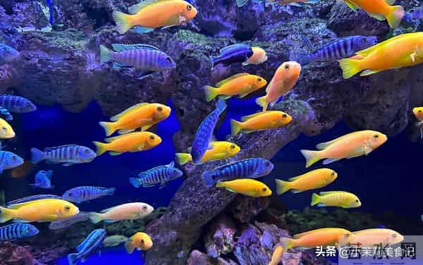 明日十月十五“下元节”,牢记:1不说,2不做,3不空,4要吃