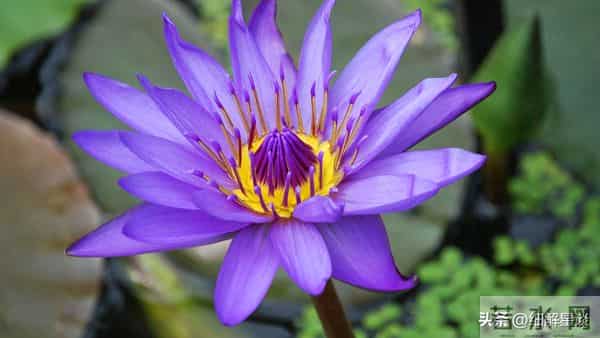 卯兔要“笑醒”了，12月3号你将会遇见你最大的2位贵人！