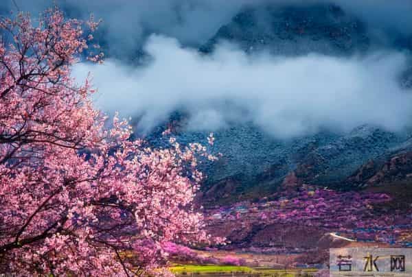 "数九"时间表来了!2026年什么时候最冷?何时入九?何时出九?