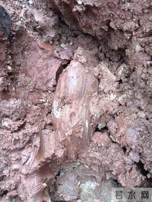 身价暴增,却以绝种的石头!