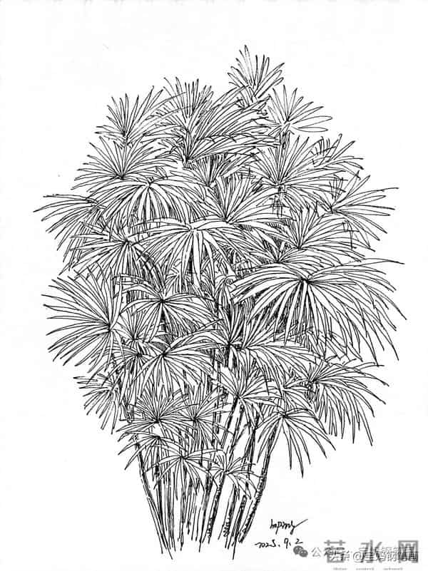 2025年钢笔画作品集，坚持就有收获