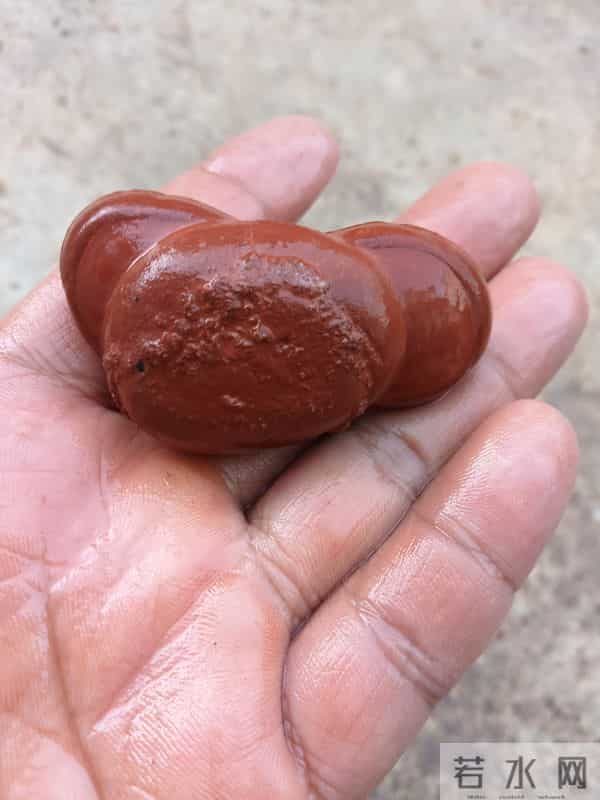 身价暴增,却以绝种的石头!