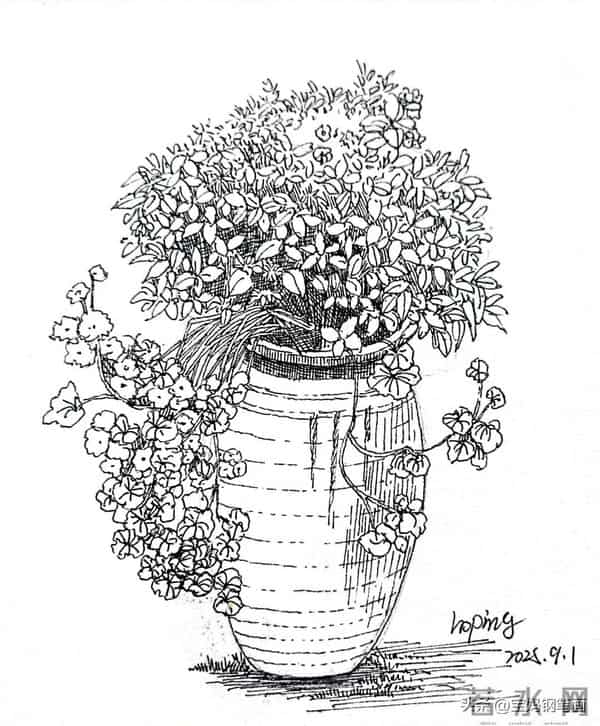 2025年钢笔画作品集，坚持就有收获