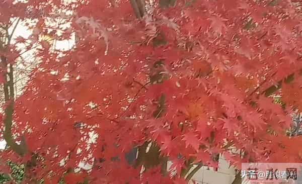 明日下元节，记住三不做，全家无灾祸