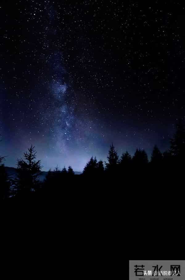 我的傻疯娘，我的媳妇儿（6）