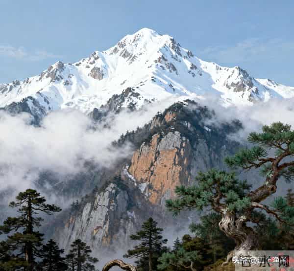 大雪诗吟23首:凄凄岁暮风,翳翳经日雪。倾耳无希声,在目皓已洁