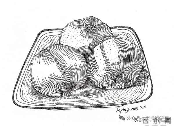 2025年钢笔画作品集，坚持就有收获