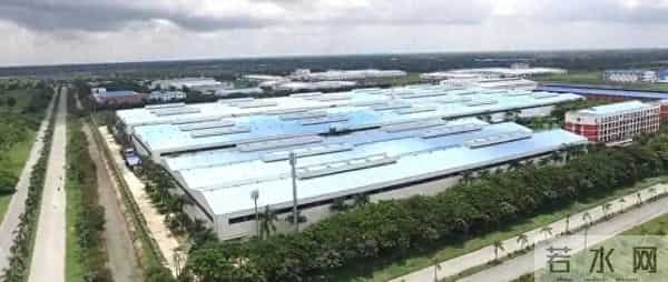 越南年轻人为何争相学中文？胡志明市调查后发现：背后原因很现实