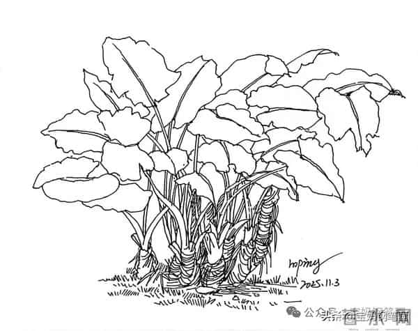 2025年钢笔画作品集，坚持就有收获