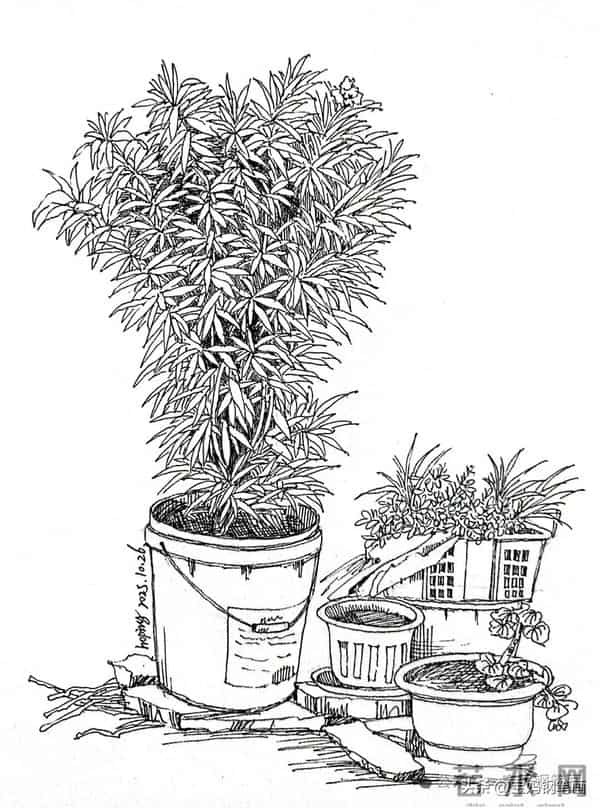 2025年钢笔画作品集，坚持就有收获