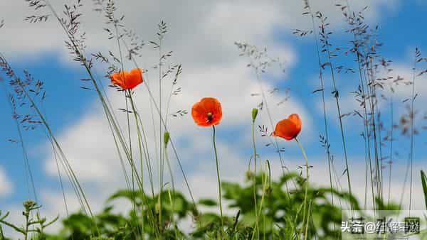 巳蛇要“笑醒”了,12月3号你将会遇见你最大的2位贵人!