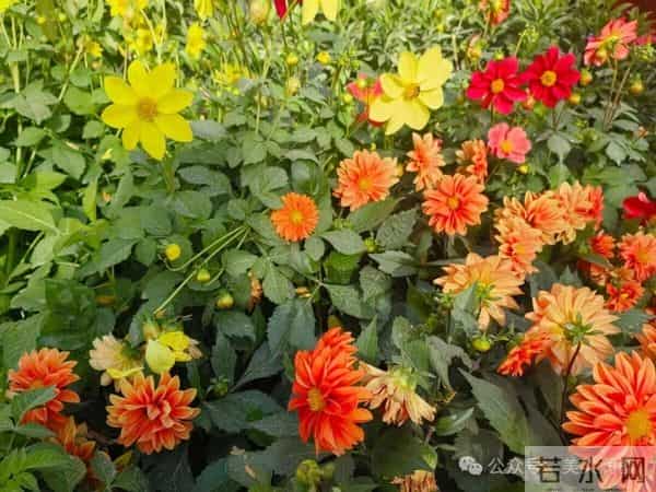 最经典的九篇古文(建议收藏)