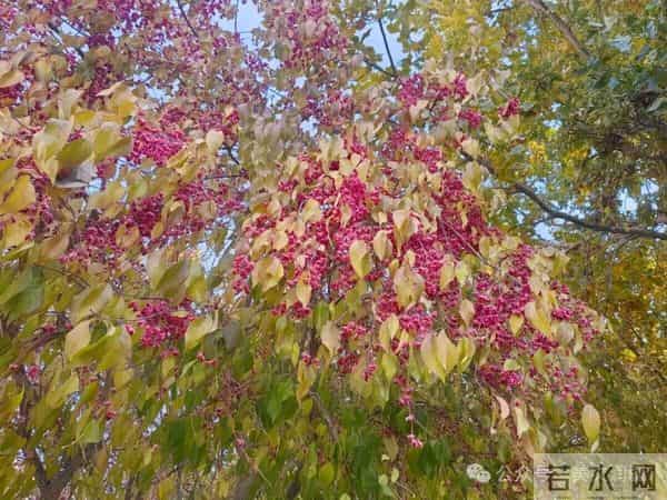 最经典的九篇古文(建议收藏)