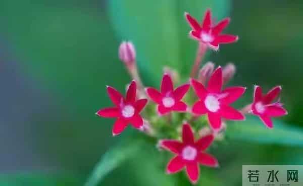 生肖鼠的晚年,尤其是鼠女,老一辈的话真的不会错!