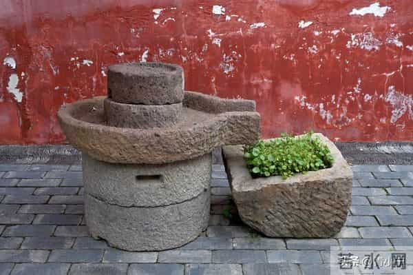 一个院的两个女人——出路（21）