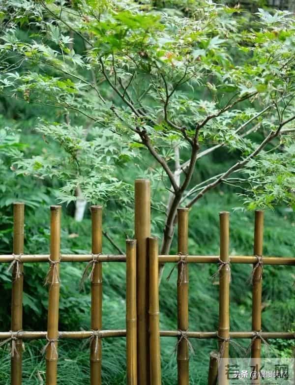 五首哲理古诗,深藏智慧,读懂受益一生