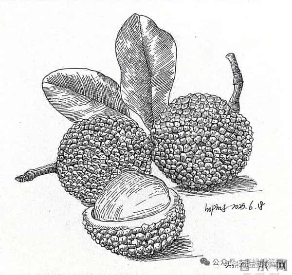 2025年钢笔画作品集，坚持就有收获