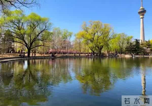 "数九"时间表来了!2026年什么时候最冷?何时入九?何时出九?