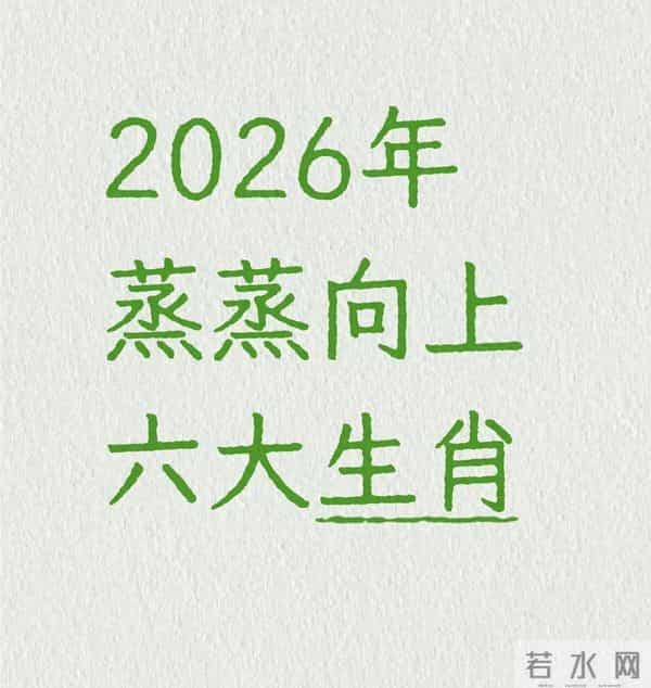 2026年或能蒸蒸向上的六大生肖：不是靠运气，是把日子过稳的本事