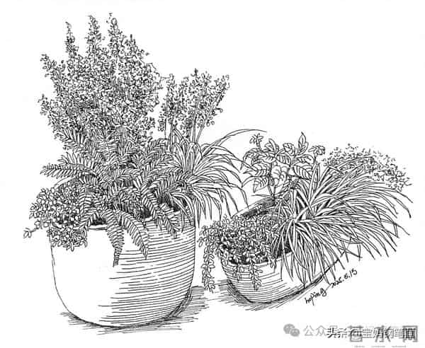 2025年钢笔画作品集，坚持就有收获