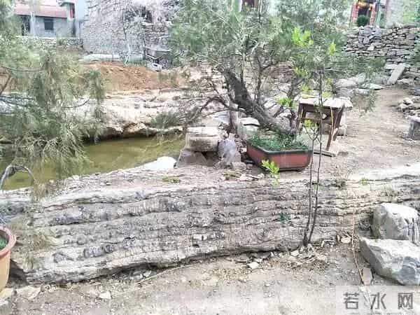 新泰市羊流镇龙石崖村的中华第一石龙传说