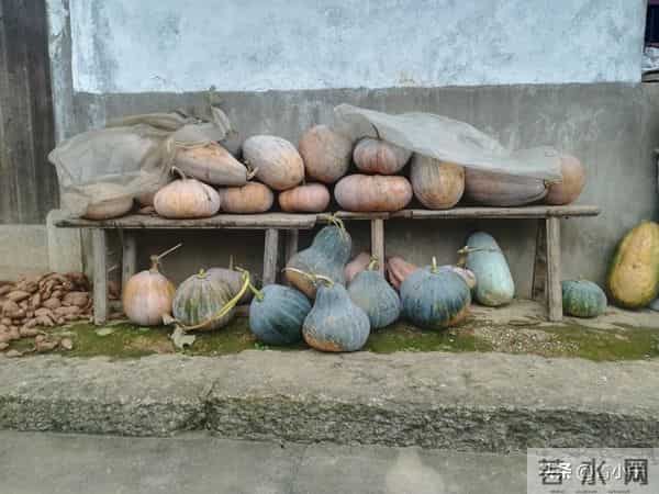 一个院的两个女人——殷勤（22）