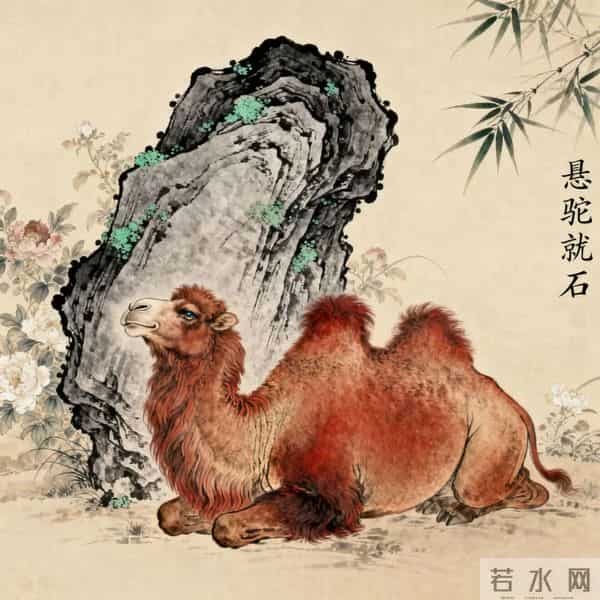 【337】探索“悬驼就石”-成语中的智慧之光!