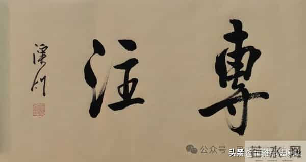 这书写得相当精彩,用笔精妙,艺术性高,值得喜悦