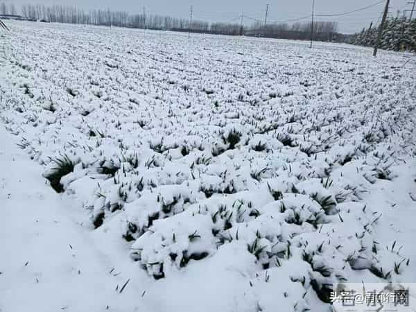 七律·节临大雪