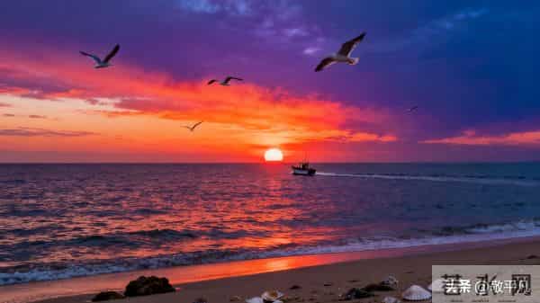 【写作技巧】掌握这5个技巧，让你的文字拥有“电影感”