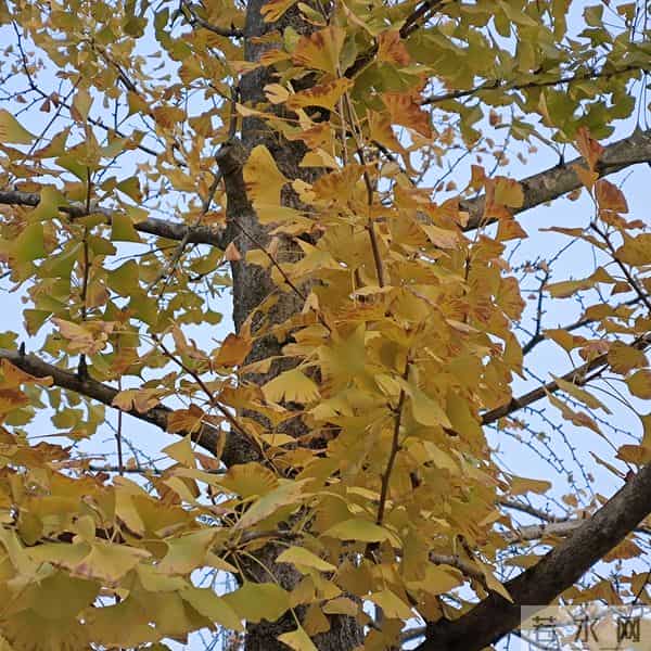 64条歇后语,有趣幽默涨知识!(值得收藏)