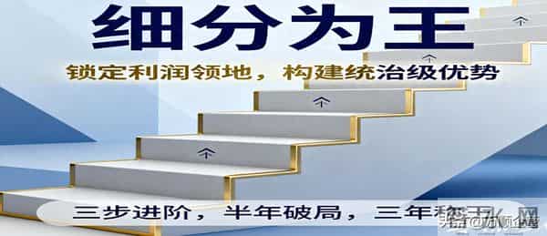 中小企业绕开巨头碾压的法宝：“细分为王”战略