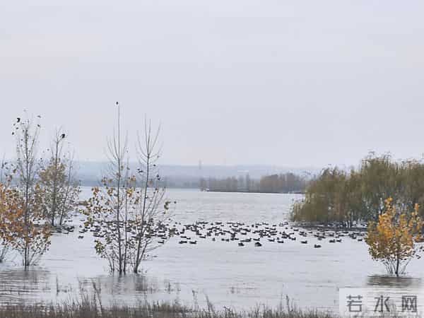 发小弟弟的真实“故事”，令人唏嘘