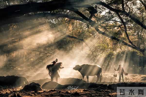 人性最大的愚蠢：在没利益的地方，掏心掏肺