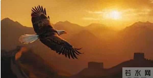 不要让任何人了解你太多,不要和任何人走得太近