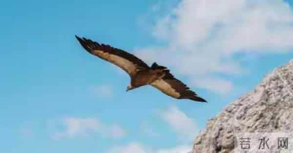 不要让任何人了解你太多,不要和任何人走得太近