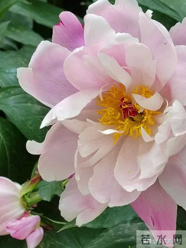 用人单位未经法定程序不得以董事会决定直接取消全体员工绩效工资