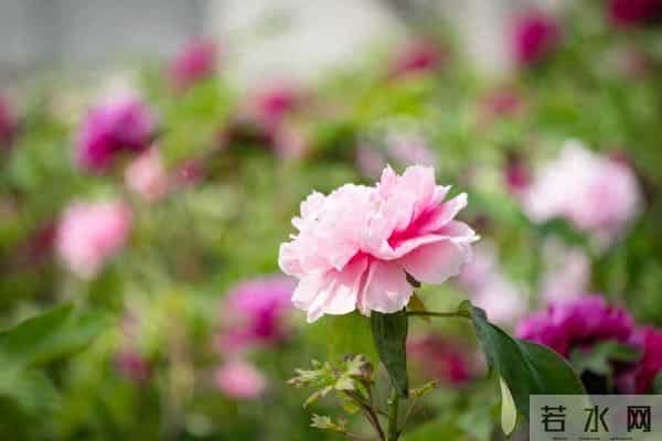 当领导的本事不是天生的，是慢慢练出来的，这些能力领导必练