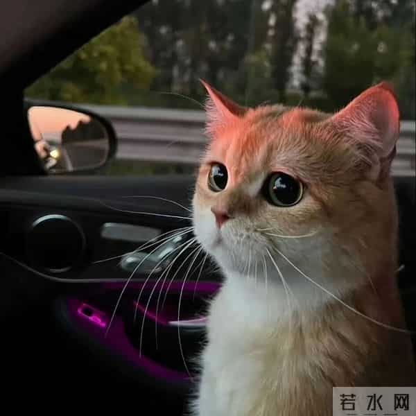 高质量体制内头像