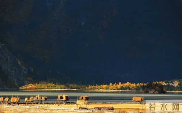 为了在体制内“游刃有余”，而不“连滚带爬”，最好要有“五心”