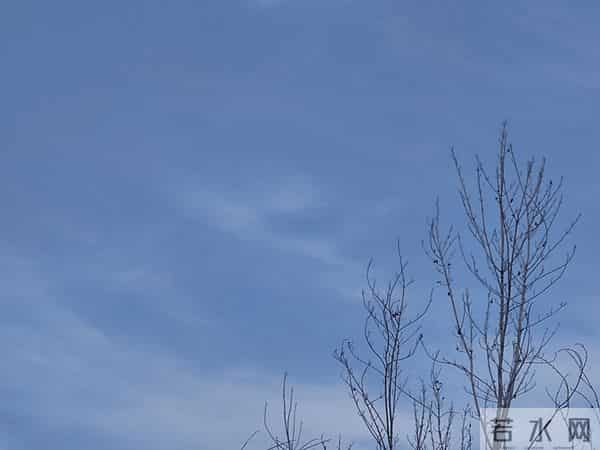 发小弟弟的真实“故事”，令人唏嘘