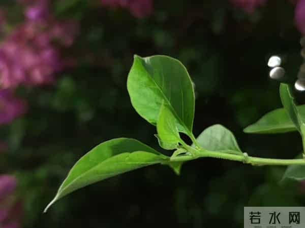 40岁后突然开窍：不跟当官的凑局，才是普通人的体面