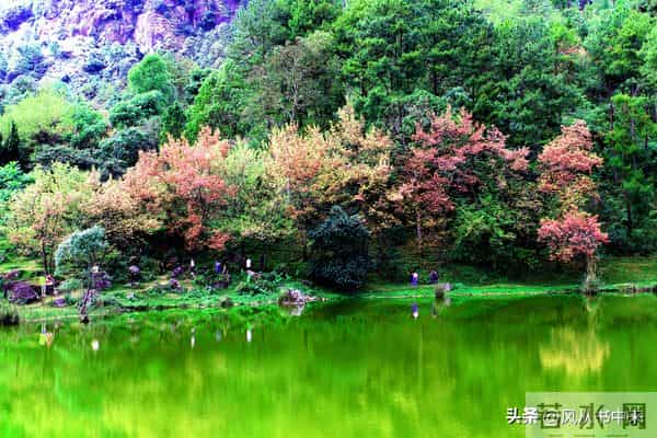 职场“被动执行” VS创业“主动决策”:心理决策模式的转换