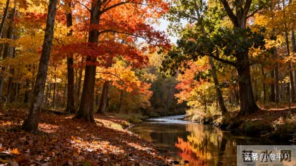 【写作技巧】掌握这5个技巧，让你的文字拥有“电影感”