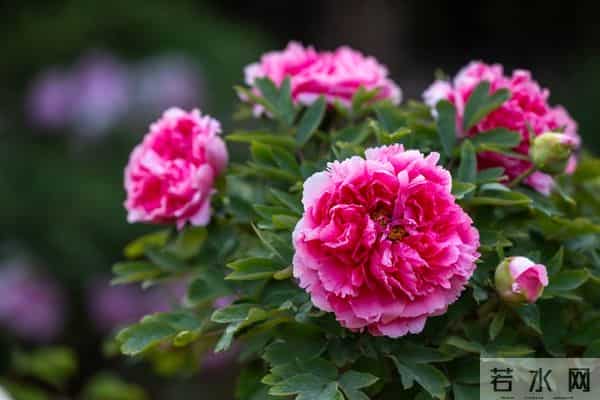 当领导的本事不是天生的，是慢慢练出来的，这些能力领导必练