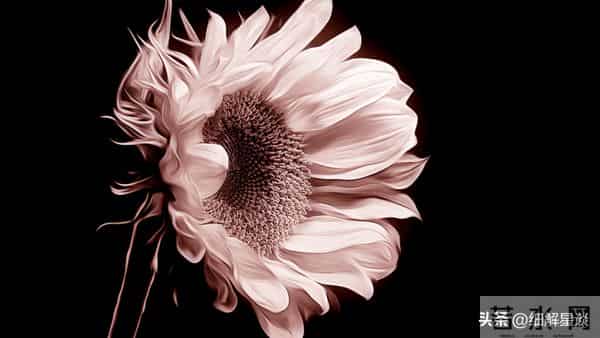 12月4日至10日，未羊，可能有小事发生