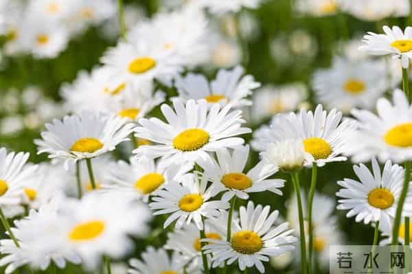 别不信命！混到50岁还一事无成，不是你不努力，是你不懂这3个字