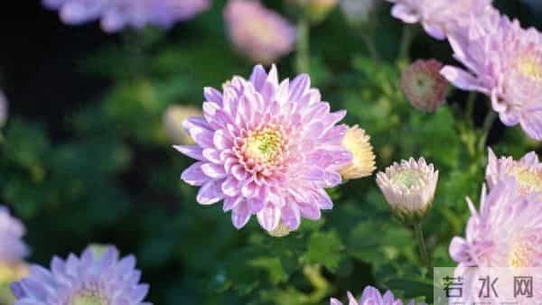 别不信命！混到50岁还一事无成，不是你不努力，是你不懂这3个字