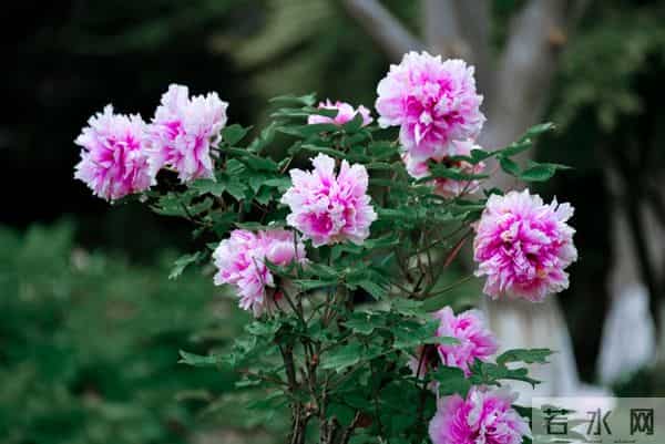 当领导的本事不是天生的，是慢慢练出来的，这些能力领导必练