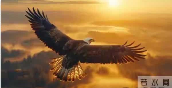 不要让任何人了解你太多,不要和任何人走得太近